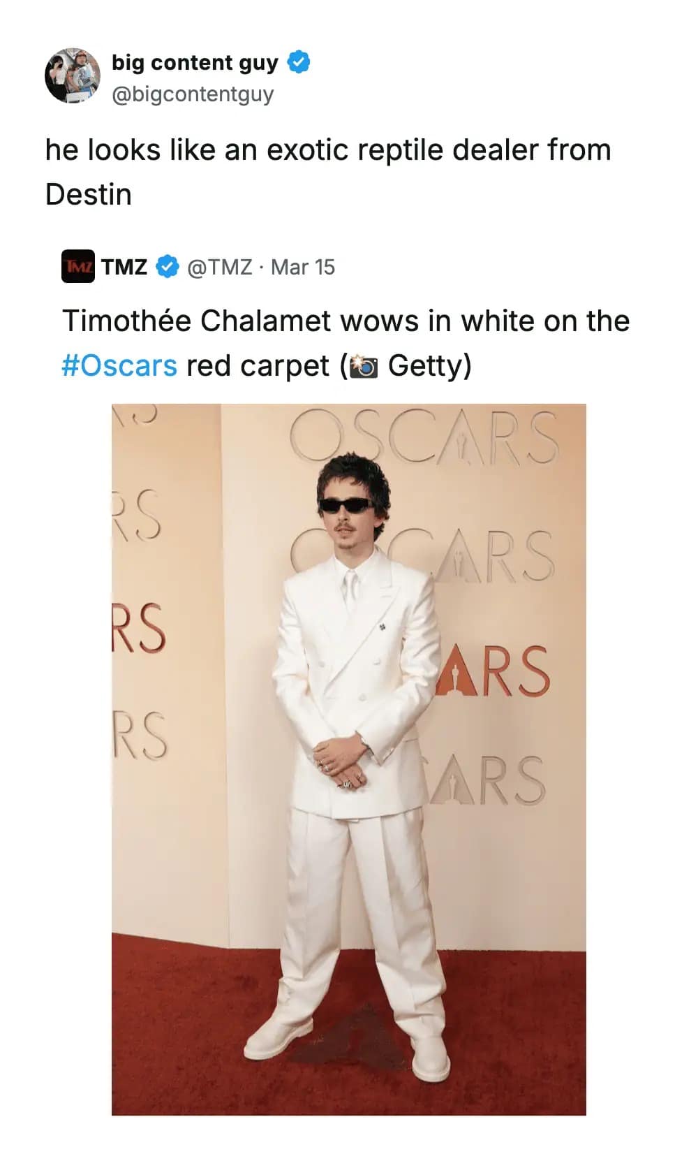 Timothée Chalamet’s bold red carpet aesthetic is compared to an exotic reptile dealer in this visually-driven and funny Oscars meme