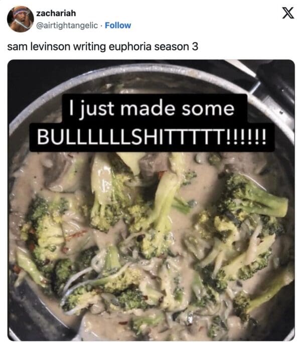 A savage Euphoria season 3 trailer meme targeting the show's creator. The tweet caption "sam levinson writing euphoria season 3" is paired with a photo of a pot of unappetizing broccoli and cream sauce with the text overlay: "I just made some BULLLLLLSHITTTTTT!!!!!!"