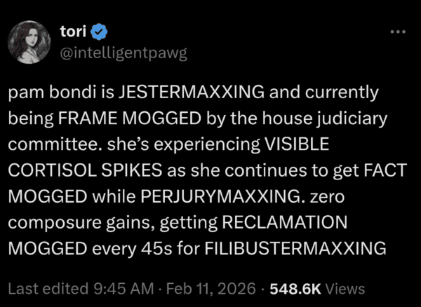 A tweet using Gen Z slang words like "perjurymaxxing" and "frame mogged" to describe the reactions to Pam Bondi judicial hearing.
