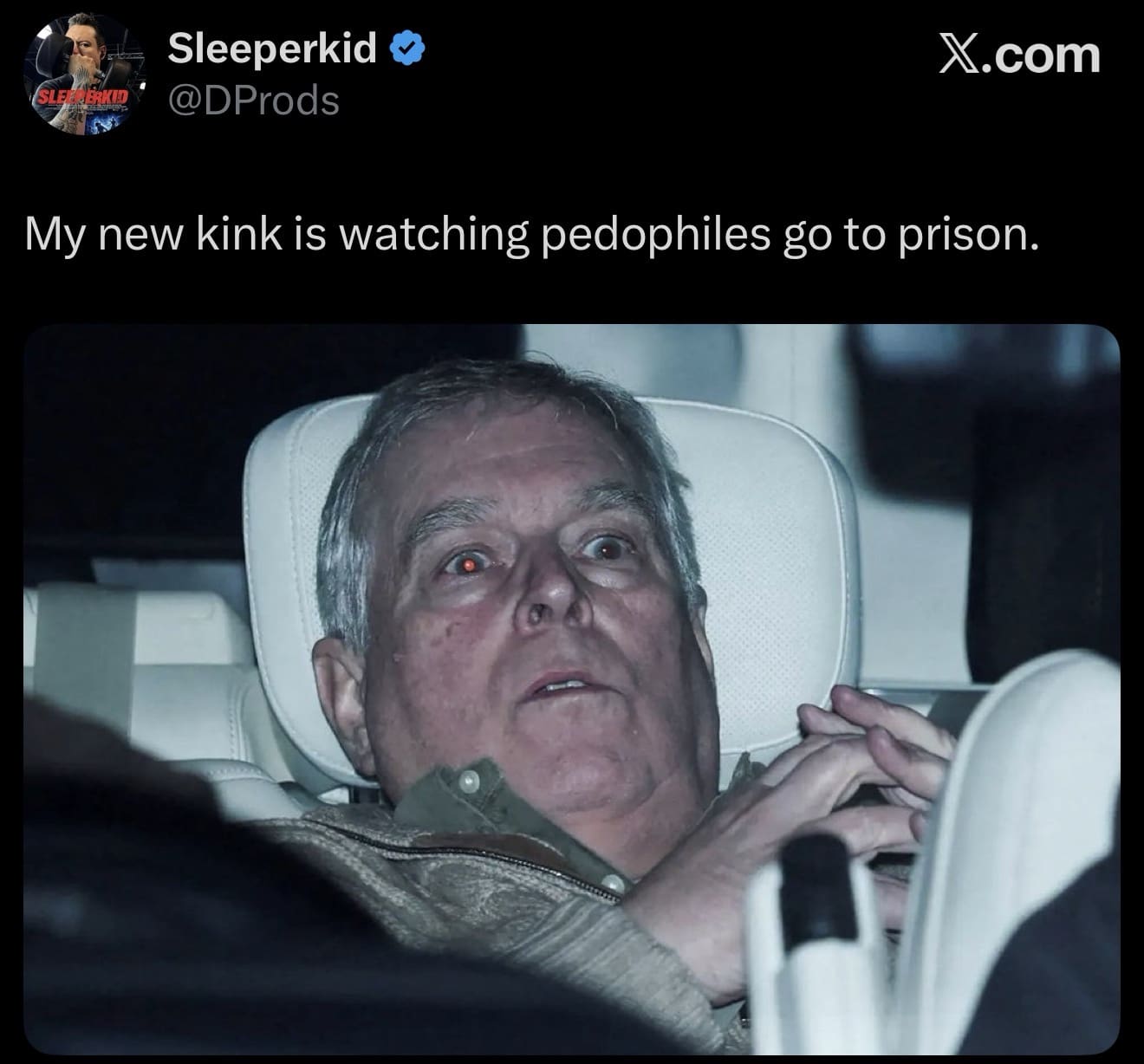 A highly critical Prince Andrew arrest meme tweet featuring the wide-eyed, terrified photo of the disgraced royal, accompanied by the blunt and satisfying caption, "My new kink is watching pedophiles go to prison."