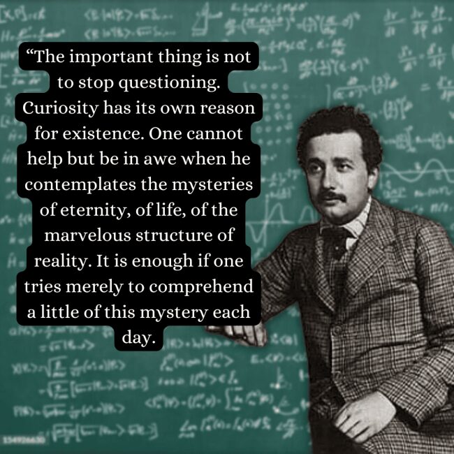 Defining intelligence as the capacity for adaptation, this albert einstein quote is centered over a close-up, high-contrast black-and-white headshot of the scientist in his later years