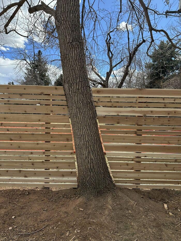 Custom horizontal slat cedar fence brilliantly built to wrap directly around an existing mature tree trunk.