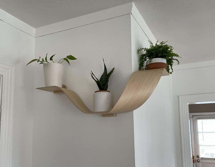 Bent plywood floating shelf mounted in a corner holding three small potted houseplants. Sleek modern wood craft.