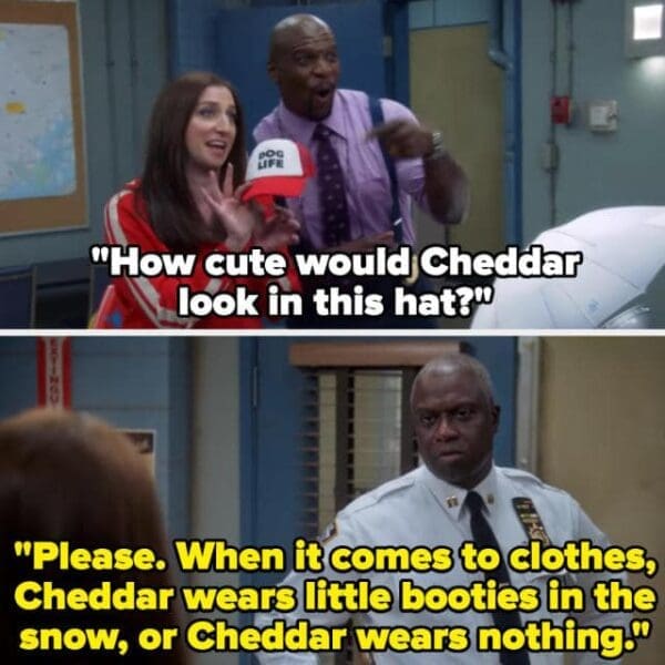 andre braugher, captain holt memes, brooklyn 99 memes