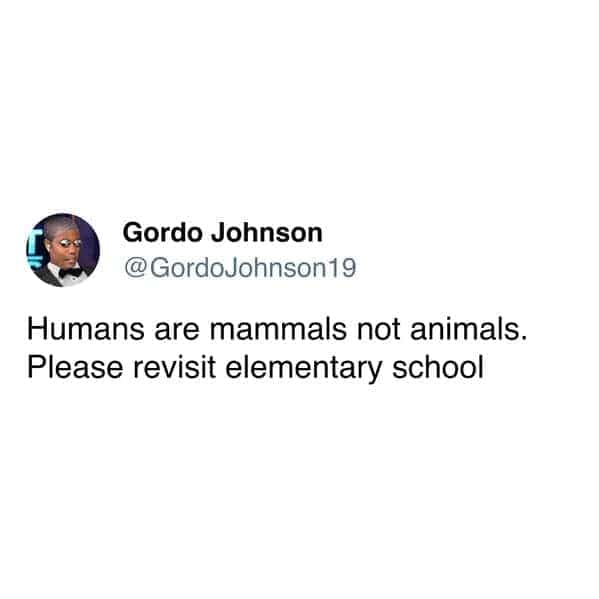 Tweet claiming humans are mammals but not animals due to poor education.