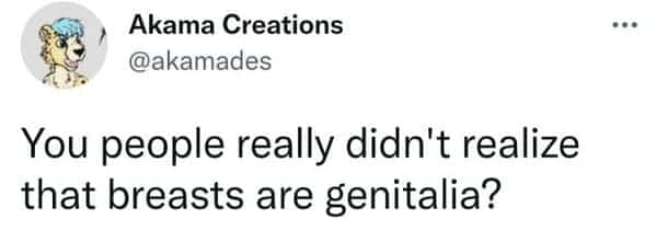 Tweet confidently asking if people realize that breasts are considered genitalia.