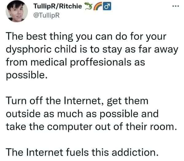 Tweet advising parents to keep dysphoric children away from medical professionals and internet.