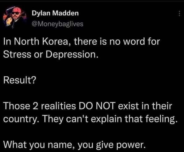 Tweet claiming depression does not exist in North Korea because they lack the word.