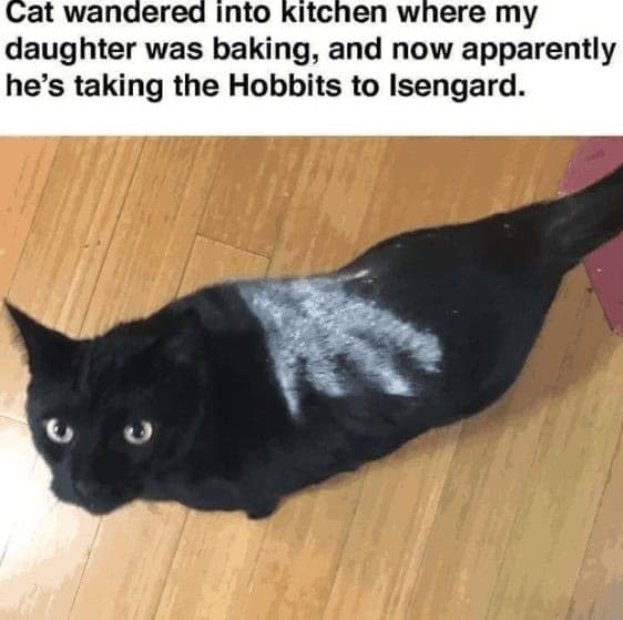 baking memes, baker memes, baking humor, oven laughs, recipe jokes