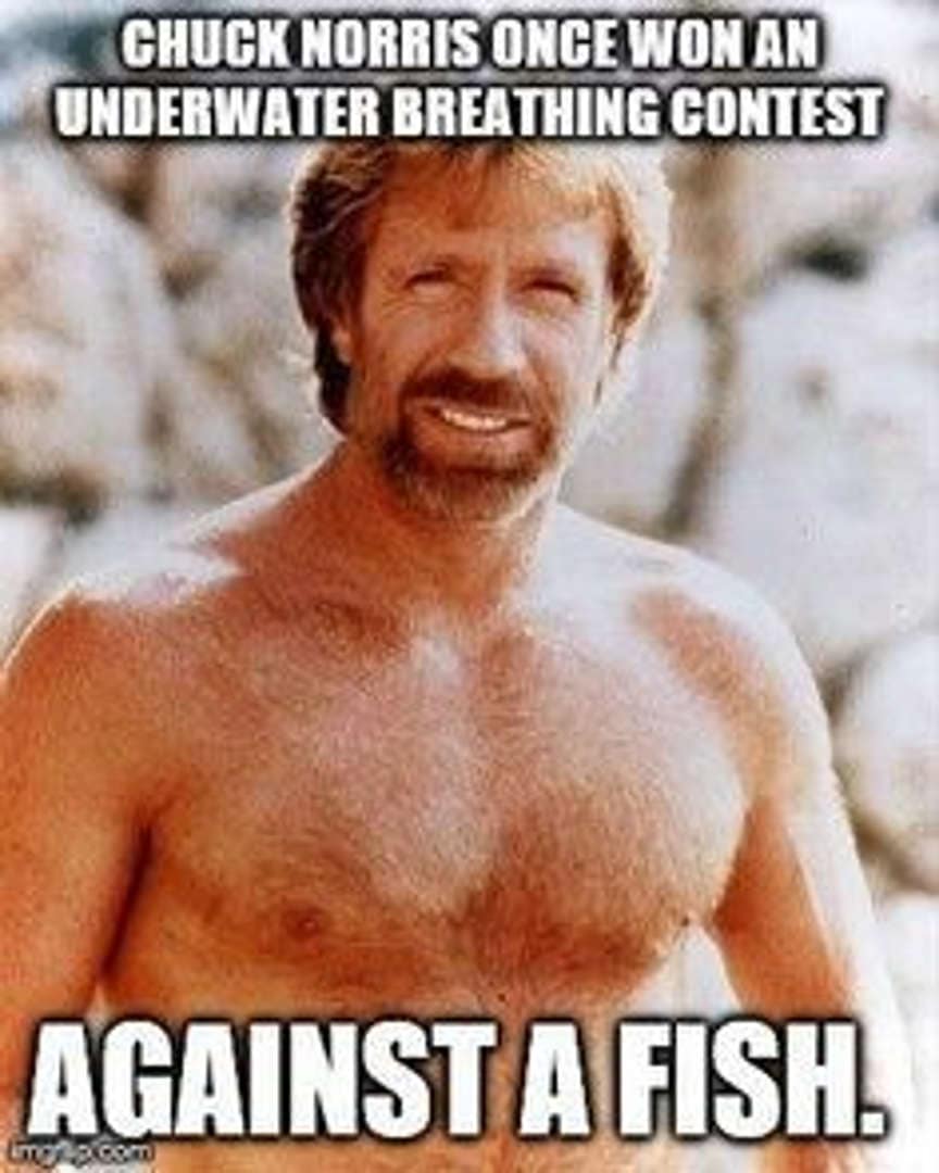A shirtless, smiling Chuck Norris in front of a rocky background. This best Chuck Norris meme entry claims he once won an underwater breathing contest against a fish.