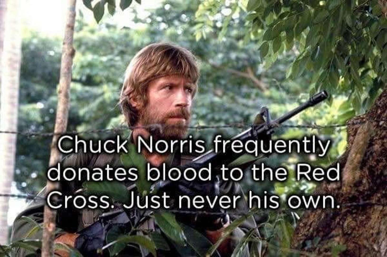 Chuck Norris in full military fatigues, peering through the brush in a dense jungle while holding an M16. The text highlights his "charity," noting he frequently donates blood to the Red Cross—just never his own.