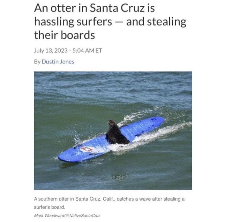 capitalism meme, capitalism memes, anti-capitalist memes, Funny Memes About Work, relatable memes Synonyms: Corporate Greed Memes, Work Culture Memes, Millennial Struggle Memes