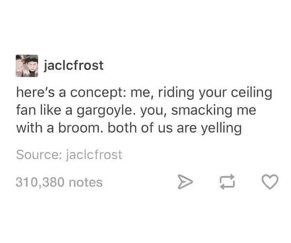 bizarre text-based classic meme from Tumblr describing a specific chaotic "concept": "me, riding your ceiling fan like a gargoyle. you, smacking me with a broom. both of us are yelling."