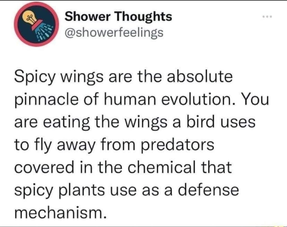 A philosophical classic meme from a "Shower Thoughts" account explaining that spicy wings are the peak of evolution: humans eating the flight muscles of a bird covered in the chemical defense mechanism of a plant.