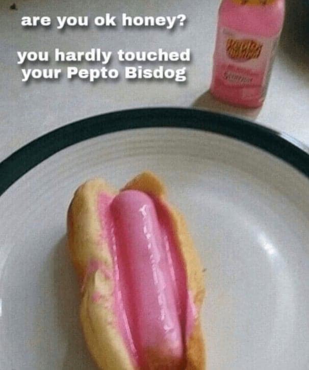 are you ok honey? you hardly touched your Pepto Bisdog