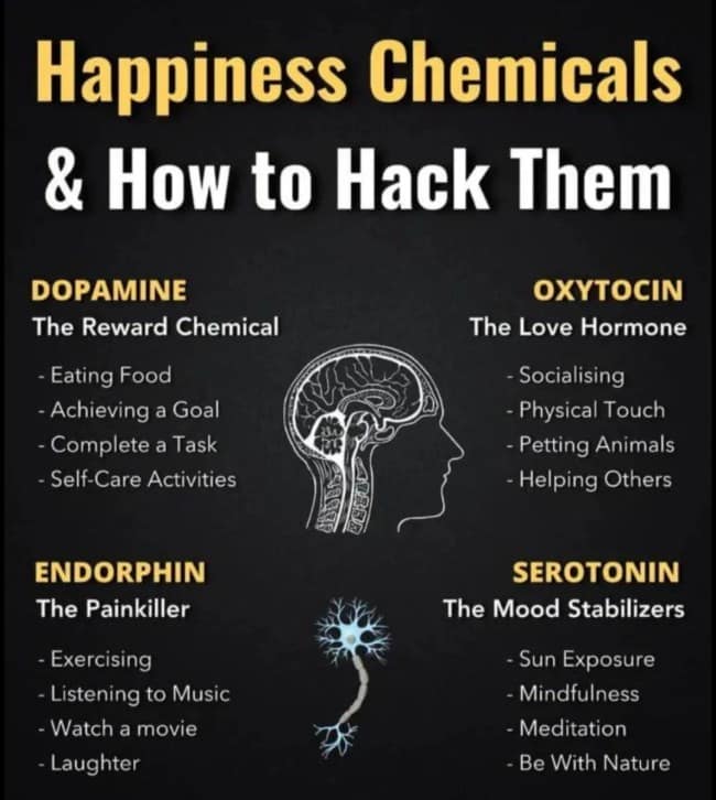 A cool infographic explaining how to "hack" happiness chemicals like Dopamine, Oxytocin, Endorphin, and Serotonin through activities like sunlight and laughter.
