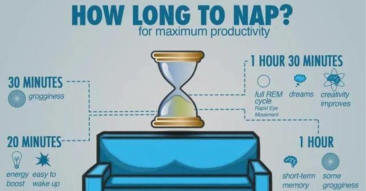 Best cool infographic compilation featuring the Vitamin Cheat Sheet, Travel Hacks, and Words of the Year evolution.