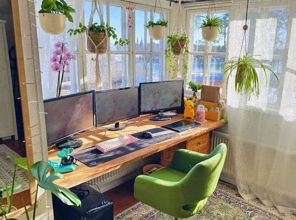 Sun-filled sunroom office with hanging plants and triple monitor wooden desk setup.