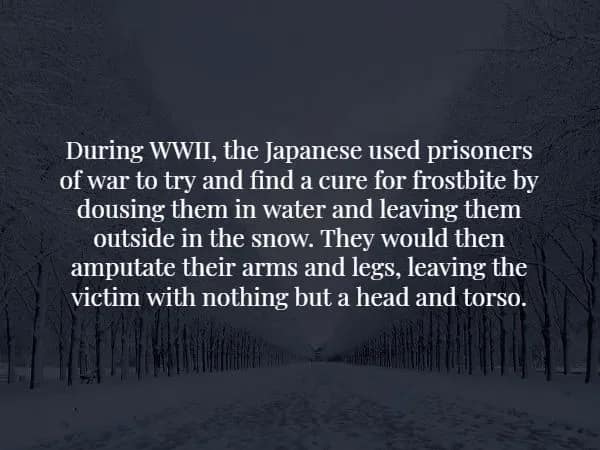 cold image of a path leading through a snowy forest accompanies a gruesome spooky fact regarding horrific WWII medical experiments where prisoners were doused in water and frozen to study frostbite.