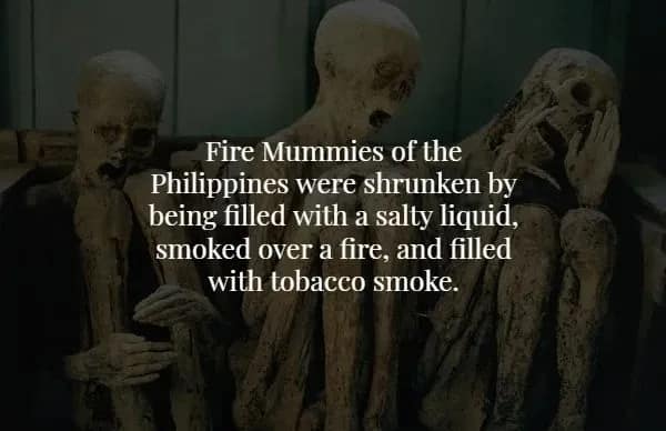 A haunting creepy fact showing the "Fire Mummies" of the Philippines—shriveled, ancient corpses with eternal, silent screams. The text explains the gruesome preservation process involving salty liquids, fire, and tobacco smoke.