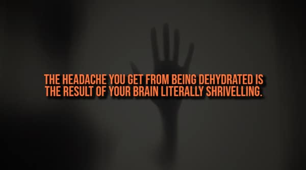 A creepy fact explaining that dehydration headaches are the result of the brain literally shrivelling.