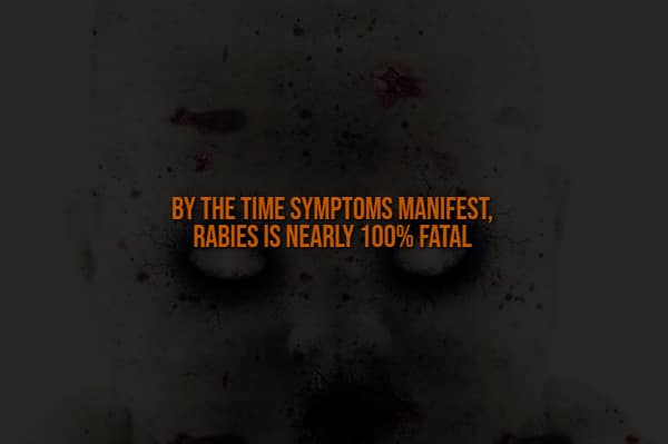 A genuinely terrifying spooky fact overlaid on a pale, blood-spattered face with white eyes, warning that by the exact moment symptoms finally manifest in a human, the rabies virus is already nearly 100 percent f*tal.