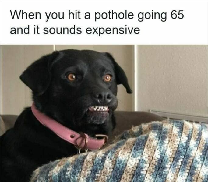 A hilarious driving meme with a dog's pained face, describing the "expensive sound" of hitting a pothole at 65 mph.