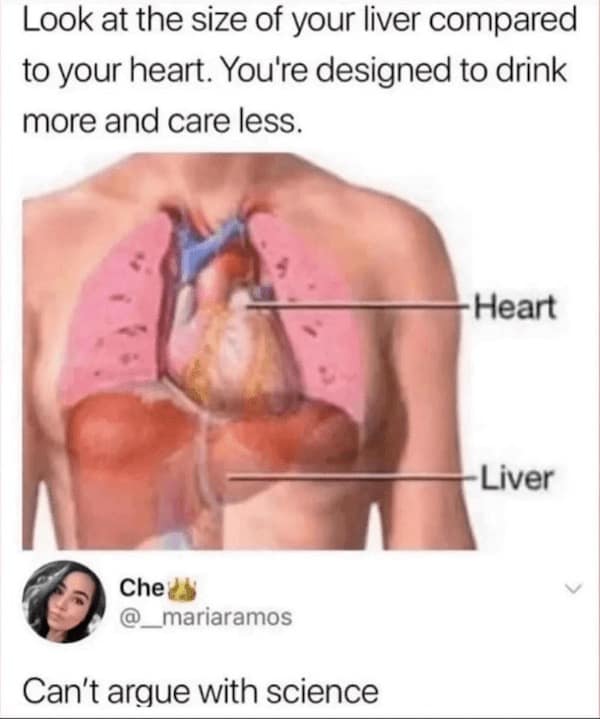 drunk memes, booze memes, alcohol memes, party memes, funny drunk memes, party humor, drunk jokes, beer memes, wine memes