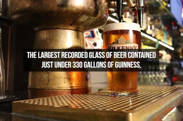A fact about beer featuring a freshly poured pint of Kilkenny on a brass bar tray. The text details a staggering world record: the largest glass ever recorded held just under 330 gallons of Guinness.