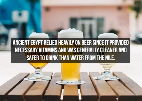 Three stemmed glasses of pale beer arranged on a wooden table, with a fact about beer explaining that Ancient Egyptians drank it for safety, as it provided essential vitamins and was much cleaner than water from the Nile.