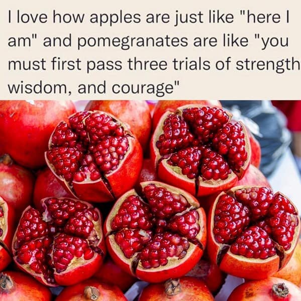 food memes, funny food memes, eating memes, snack memes, culinary meme, hilarious eating memes, amusing snack memes, entertaining culinary memes, cooking memes, kitchen memes, cooking fails memes, culinary disaster memes, dieting memes, diet humor memes, weight-loss memes, funny dieting memes