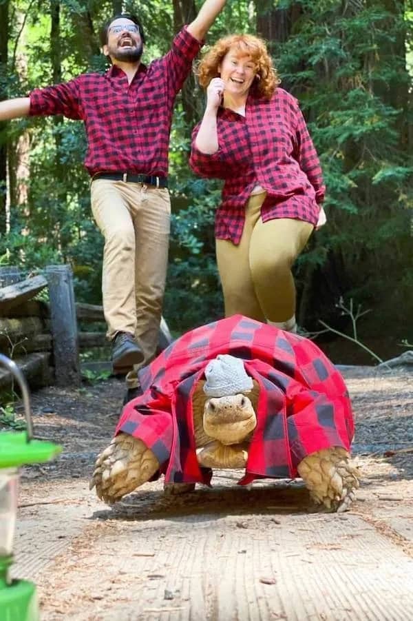 Two people in flannel shirts jumping for joy behind a large tortoise wearing matching flannel.