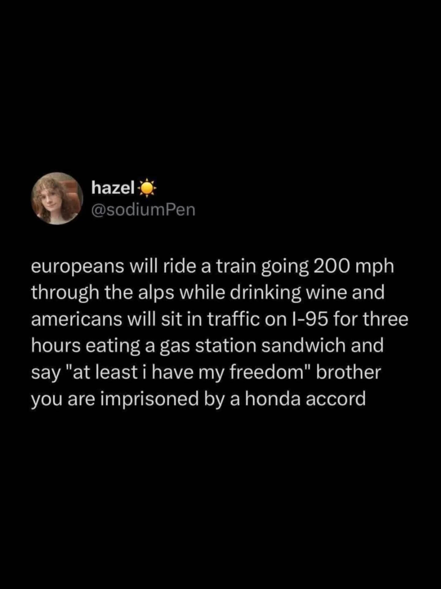 Social media post comparing European high-speed trains to American traffic jams and gas station food.