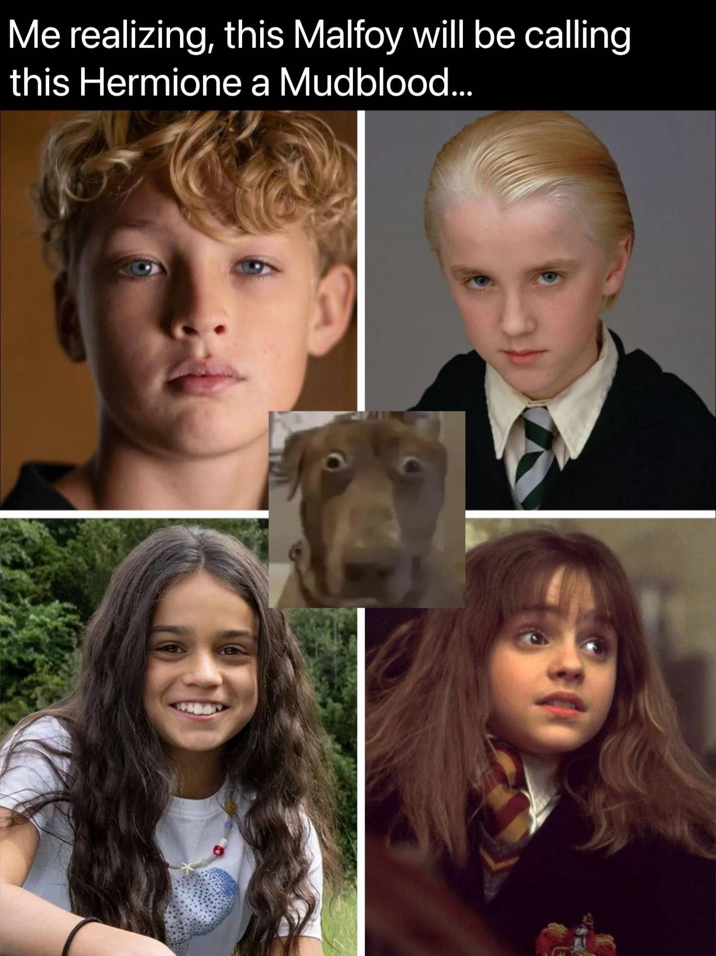 Collage comparing new Harry Potter series actors with original cast members and a shocked dog.