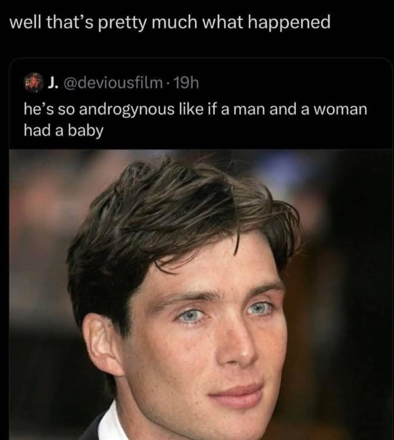 A headshot of Cillian Murphy with a caption joking about his very androgynous facial features.