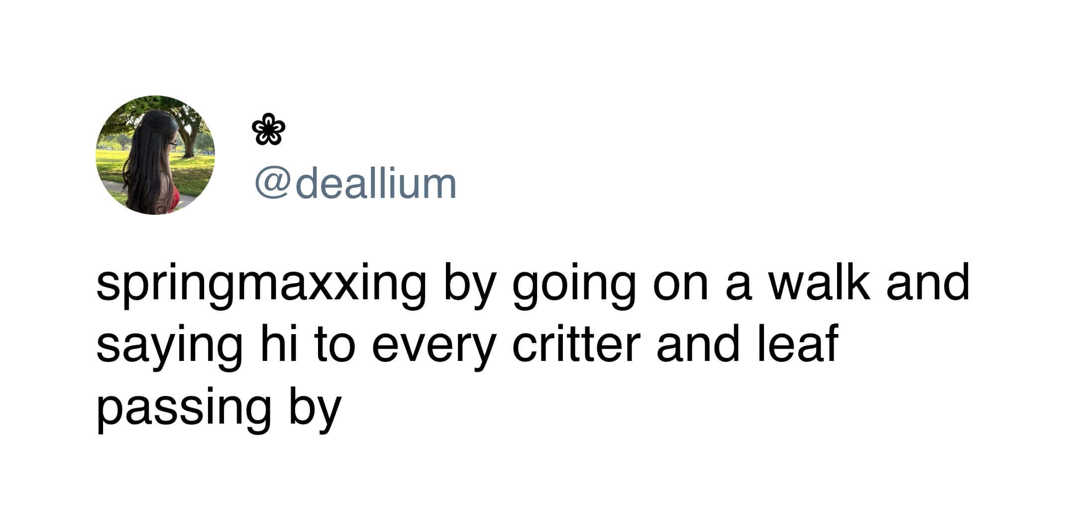 funny tweet by @deallium about the concept of "springmaxxing," which involves going on a walk and enthusiastically greeting every individual critter and leaf they pass.