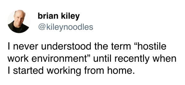Tweet by @kileynoodles about discovering hostile work environment while working from home