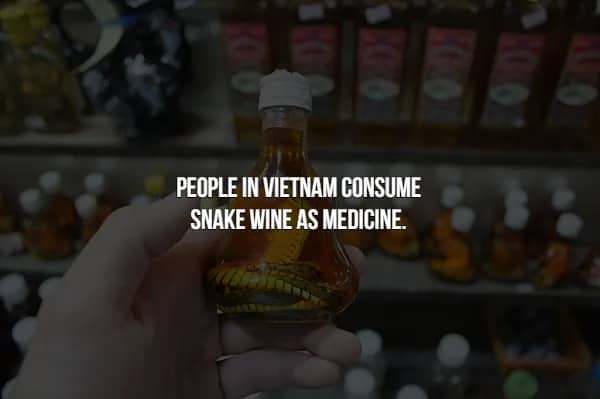 Fact slide showing a small bottle of medicinal snake wine consumed in Vietnam.