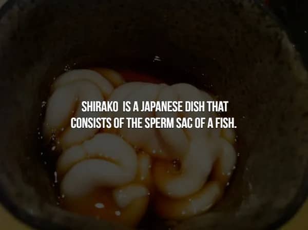 Fact slide describing Shirako, a Japanese dish made from the sperm sacs of fish.