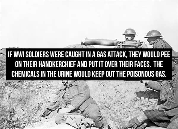 A vintage photograph of WWI soldiers operating a heavy machine gun in a trench, overlaid with a grim historical fact about soldiers urinating on handkerchiefs to create makeshift filters against poisonous gas.