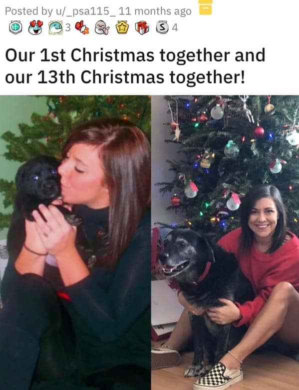 Woman and her black dog during their first Christmas and 13th Christmas together side-by-side.