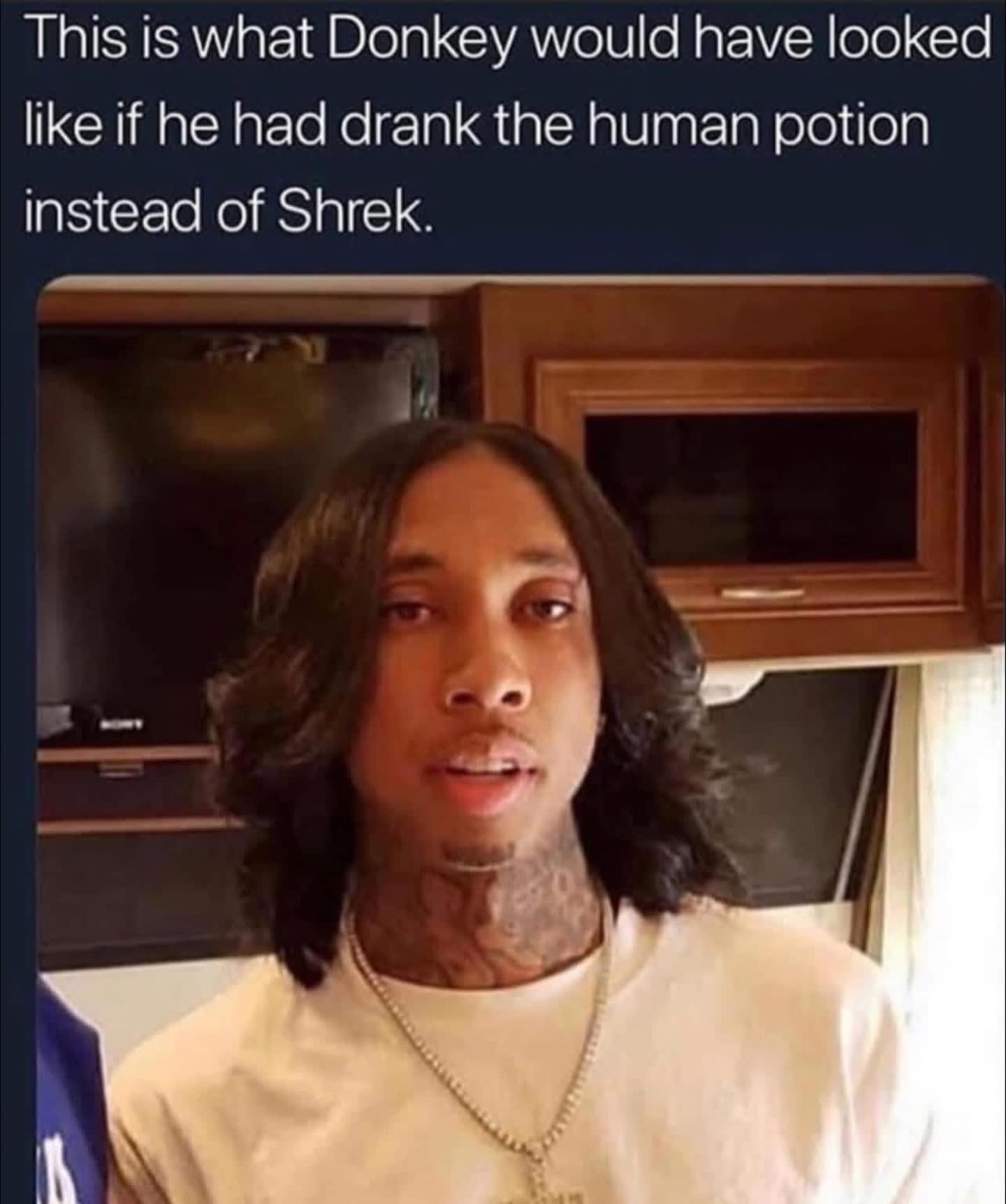 A pop-culture funny meme showing a photo of rapper Tyga with long, flowing hair. The caption jokingly asserts: "This is what Donkey would have looked like if he had drank the human potion instead of Shrek."