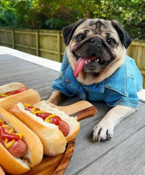 A funny meme using the Inception "You mustn't be afraid to dream a little bigger" template. Leonardo DiCaprio asks, "What's the difference between toilet paper and a curtain?" A photoshopped Skeletor face replies, "I don't know," leading to DiCaprio’s accusatory punchline: "So it was you."