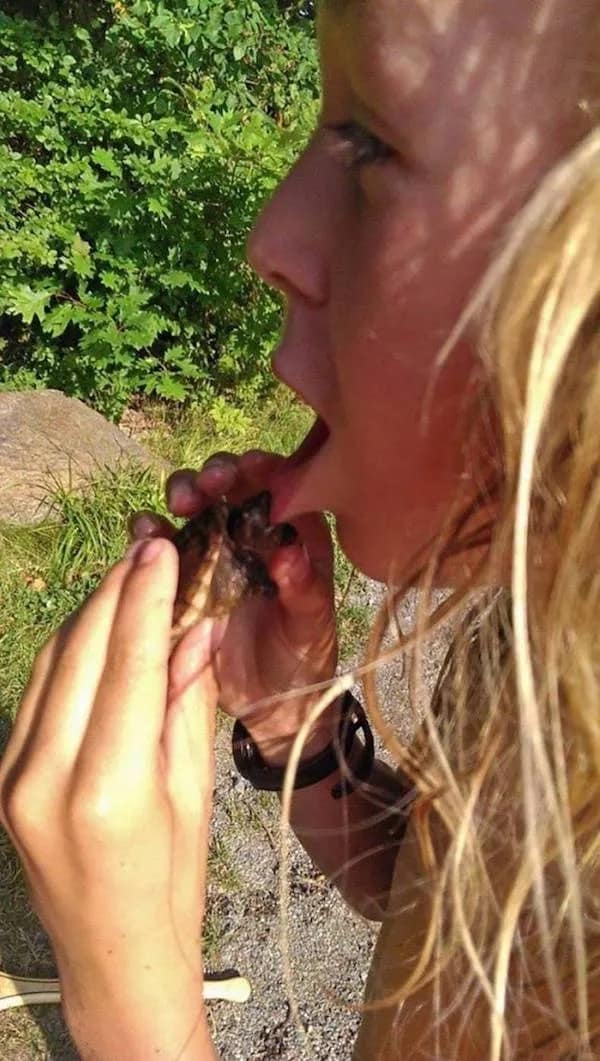 A chaotic entry in this meme dump showing a girl in close-up as a tiny baby turtle she was holding bites her upper lip. The girl’s mouth is open in shock as the reptile remains firmly clamped on.