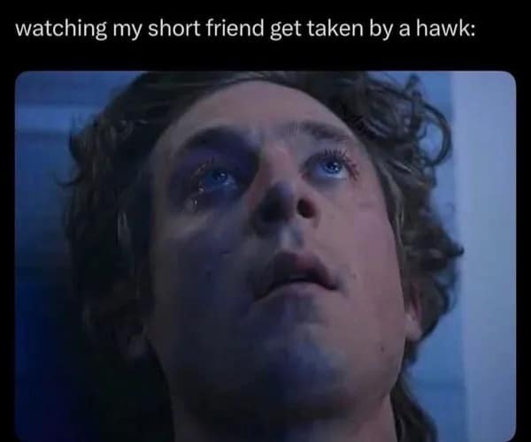 A meme dump reaction image featuring a close-up of actor Jeremy Allen White looking up into the sky with a look of devastated disbelief. The caption: "watching my short friend get taken by a hawk:".
