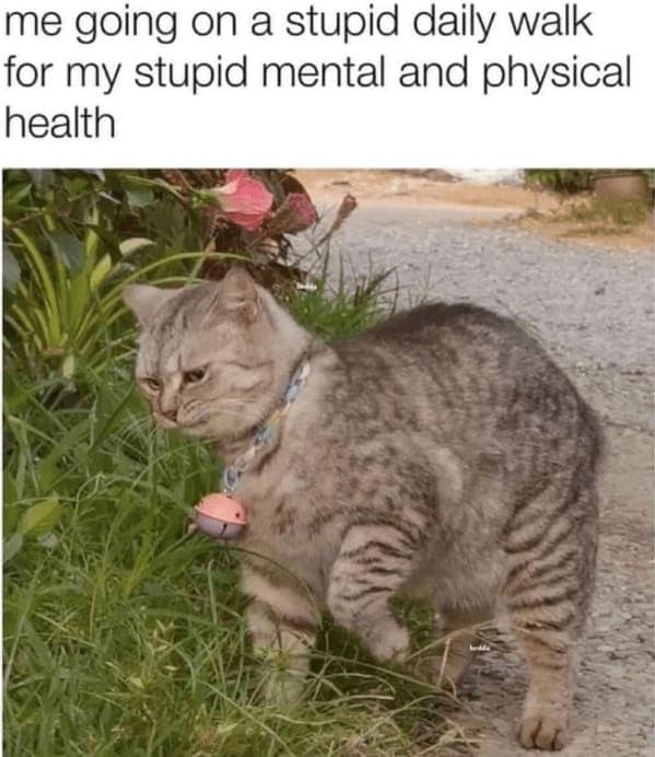 mental health memes