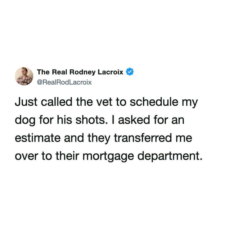 A relatable broke meme tweet by The Real Rodney Lacroix (@RealRodLacroix) about rising veterinary costs. He jokes that when he asked for an estimate for his dog's shots, the vet transferred him to their "mortgage department."