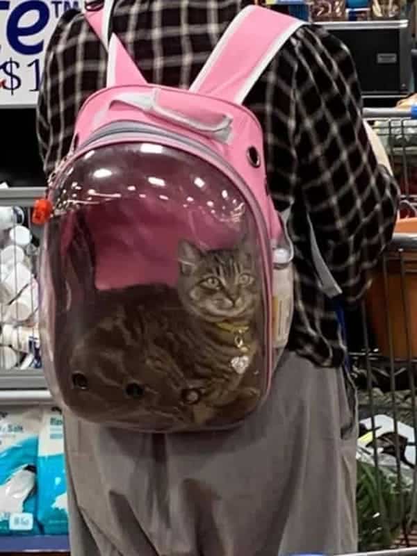 people of walmart, fashion faux pas, Walmart memes, fashion fails, funny photos, viral Walmart pics, awkward outfits, weird fashion, public fashion fails, cringe photos, Walmart customers, hilarious pictures, odd style, funny retail moments, bizarre shoppers, people watching