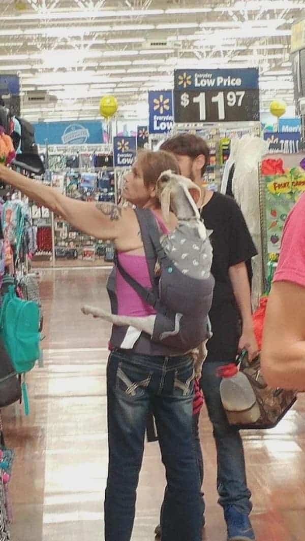 people of walmart, fashion faux pas, Walmart memes, fashion fails, funny photos, viral Walmart pics, awkward outfits, weird fashion, public fashion fails, cringe photos, Walmart customers, hilarious pictures, odd style, funny retail moments, bizarre shoppers, people watching