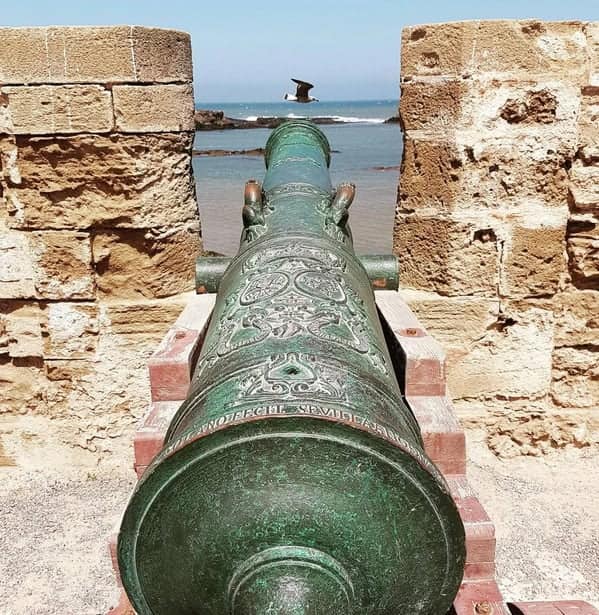 A perfectly timed photo of a bird flying directly in the line of sight of an old cannon.